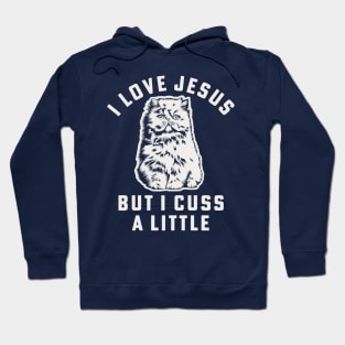 I Love Jesus But I Cuss A Little Shirts About Jesus Cat Mom Hoodie